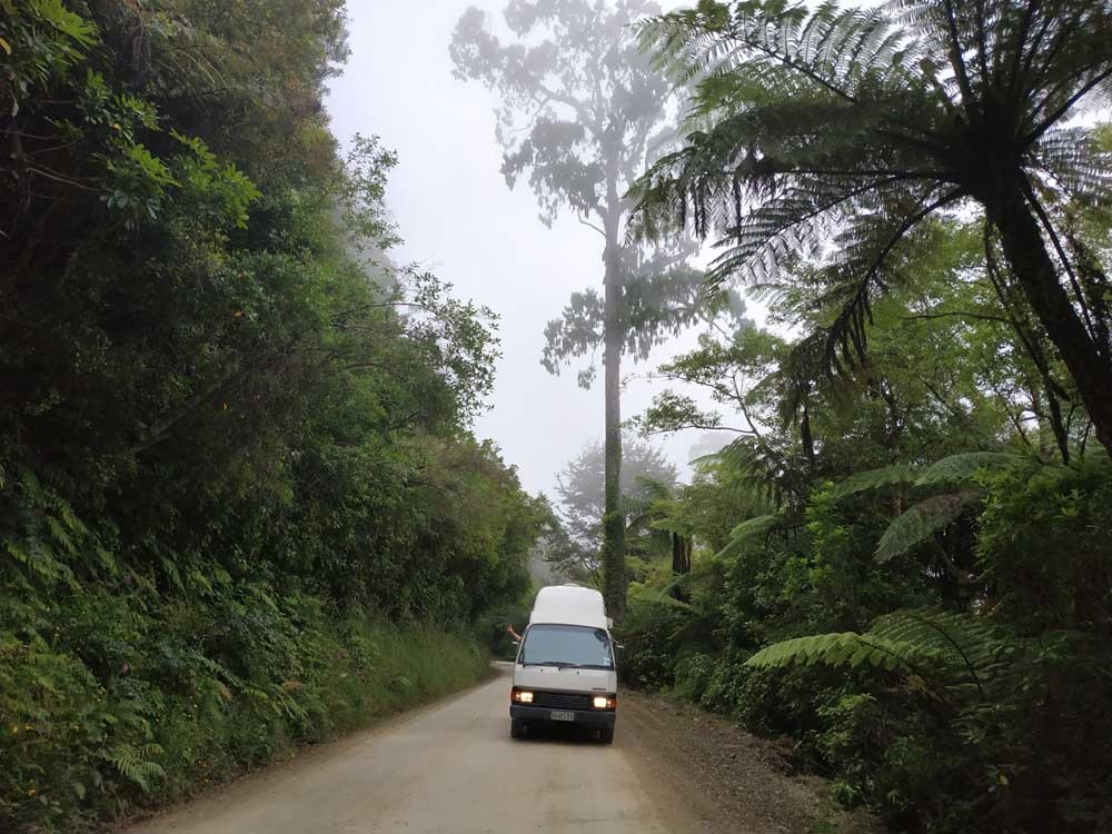 furgoneta conduciendo por una carretera rodeada de vegetación